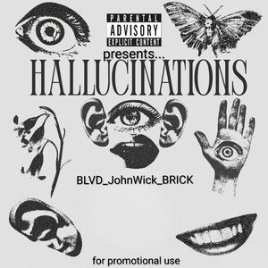 HALLUCINATIONS 
