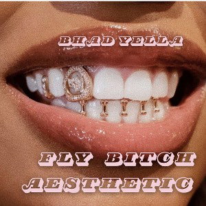 FlyBitchAesthetic (Freestyle)