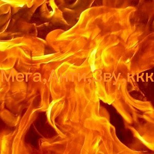 Мега,Анти,Зву,ккк