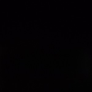 gldbfoxb