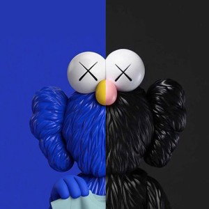 kaws
