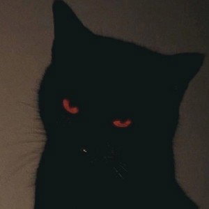 [FREE] SAD guitar type beat - I won't die.