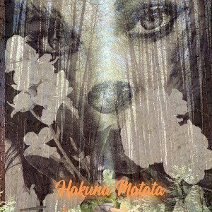 Hakunamatata 