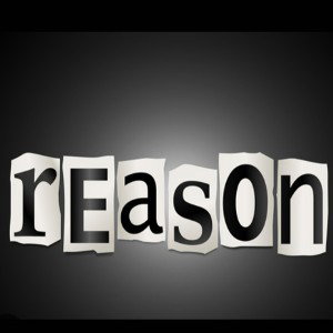 khamaree - Reason 2024-03-01 22_12