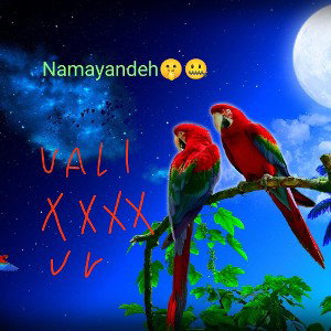 namayandeh