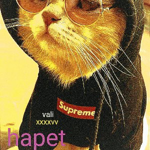 hapet#