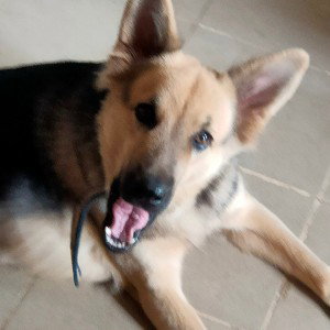 Yo