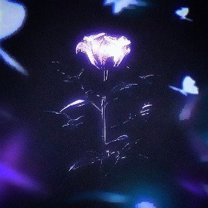 Stranger