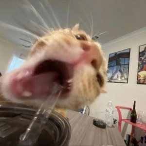 ʸᵒ ᵈⁱˢ ⁱˢ ᶜᵒᵒˡ