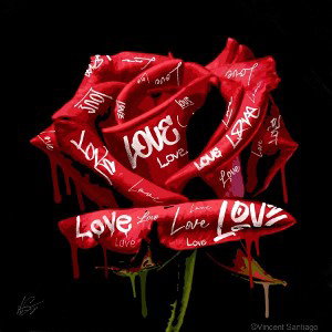 Diese eine Rose
