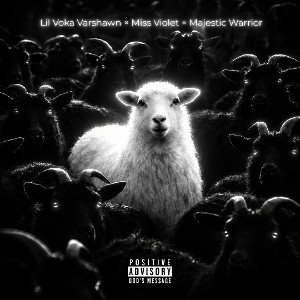 Don't Sleep Lost Sheep
