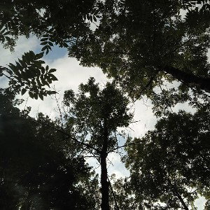 Babaone - freestyle j dilla 