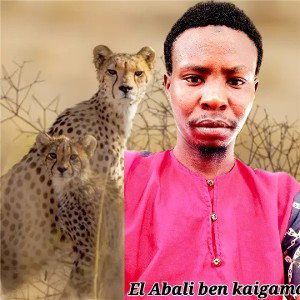 my name is abalito Ben Kaigama cherif je suis la pour vous faire cracker oui je chante pour ma chérie si t'es pas conten