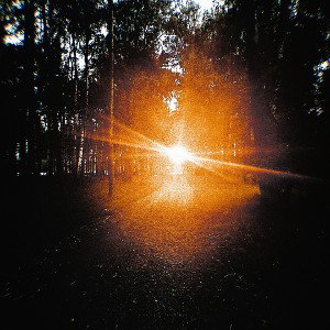 YART - В мире теней