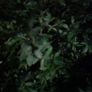 всем привет и это мой трек ууууа звезда яркая сеяит для меня но есть минусы в жизни это мой характер он очень плохой ау 