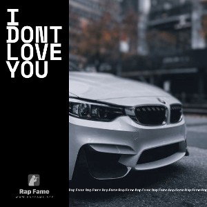 I DONT LOVE YOU