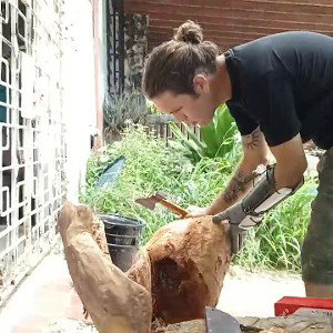 Un Gargajo pal Llorón 