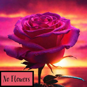 No Flowers