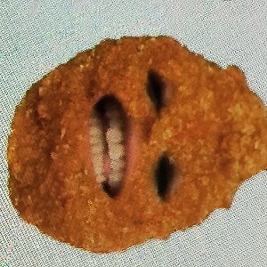 CHISCKRN NUGGERS ANYONE.....???????