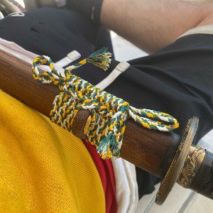 wakashi on deck for SD