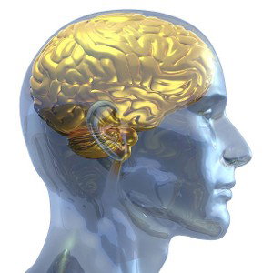 the golden mind
