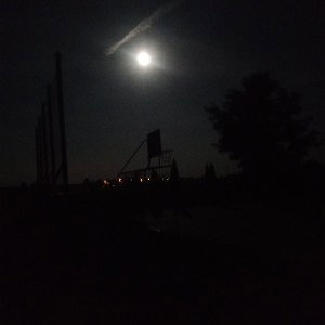 👑 KING gog ..HARD LIVE💪🏾😎🖤