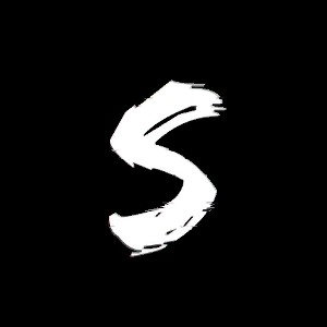 Project S