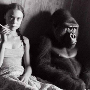 WOW WOW WILDING 