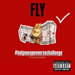 FLY #helpmeopenversechallenge 