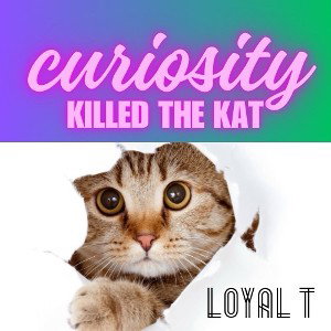 Curiosity Kill The Cat 