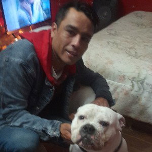 trasfondo de la calle
