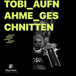 Tobi_Aufnahme_geschnitten