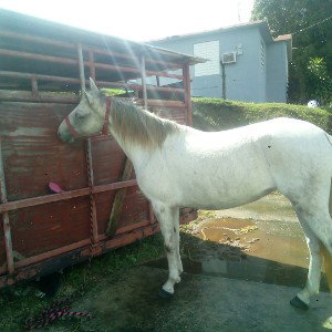la del piquete de mi nena estás en apuro no te tire q te darás duró 