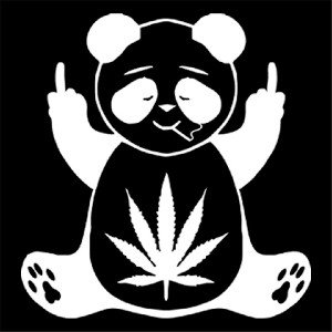 yeah don't ..by YGZ.Ft Ronday voo