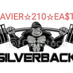 Silverback 