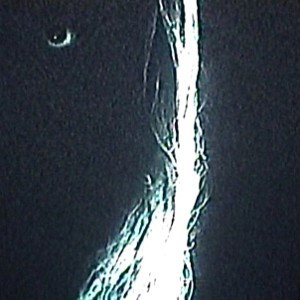WXERIX - Пустота