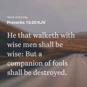 words of the wise 
