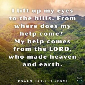 Flee to the mountains 