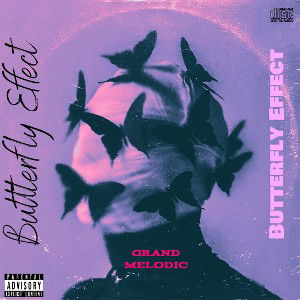 Butterfly Effect 