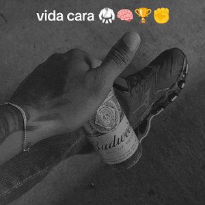 vida cara Go 