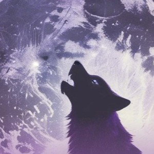  I N F A N S E  - PERRO ALFA AFORTUNADO