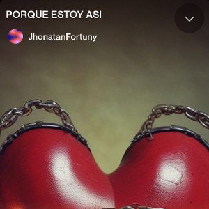  I N F A N S E  - porque estoy asi
