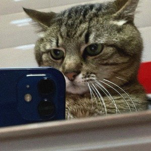 гоу