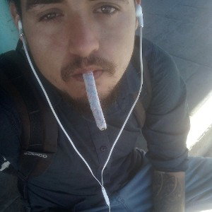 tarde fria