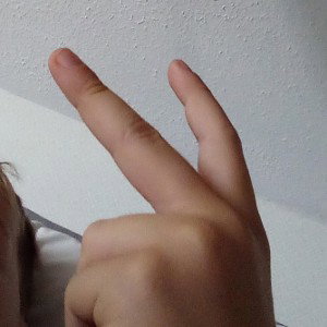wer