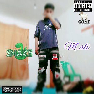 M.ali.Snake