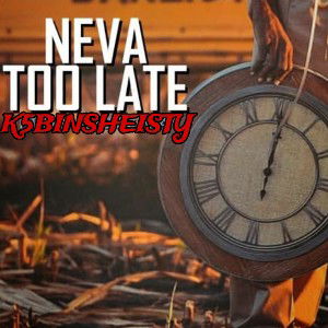 K5BINSHEISTY - Neva to late