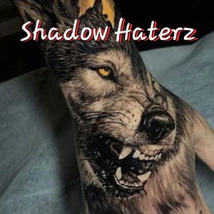 Shadow Haterz