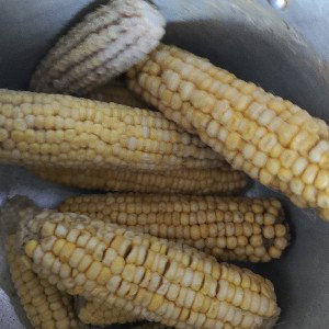 русня хуйня