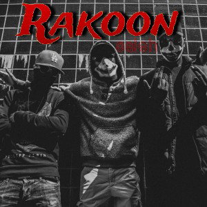 rakoon